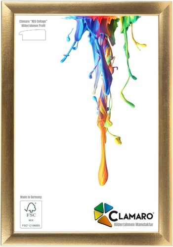 Bilderrahmen gold 53g neo - bilderrahmen,